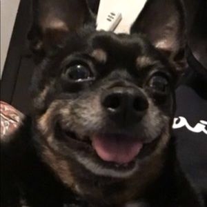 Meet your Posher, Byron